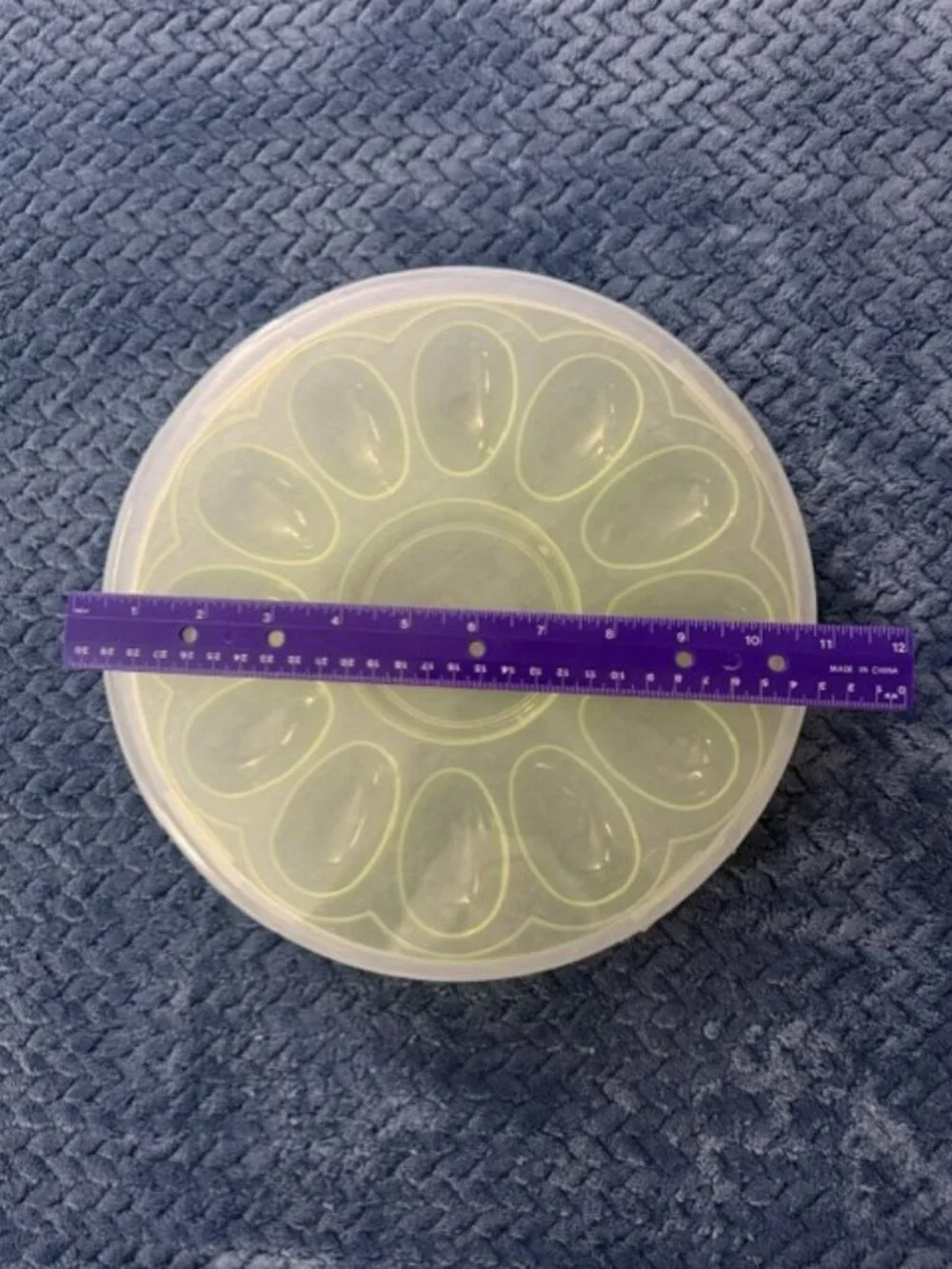Round Pastel Green Deviled Egg Carrier with Locking Lid – Holds 12 Eggs